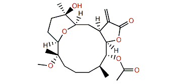 Uprolide G acetate